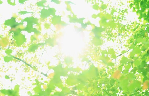 広々１LDK！神戸市中央区のUR賃貸をご紹介！！｜兵庫でUR賃貸物件をお探しならUR賃貸関西へ