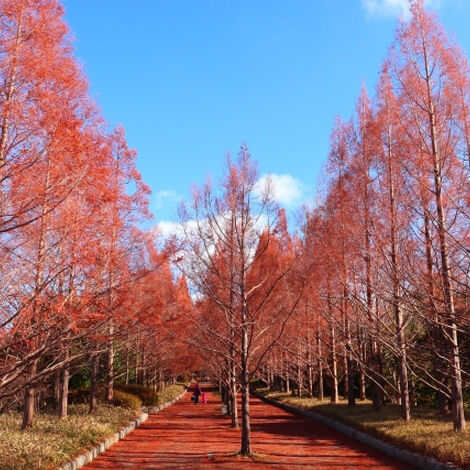 しあわせの村